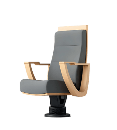 Auditorium seat variation