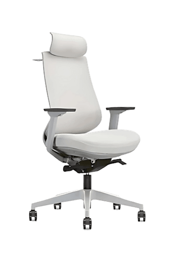 Office chair variation